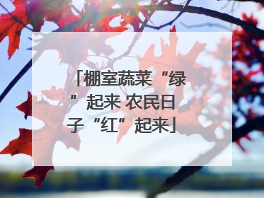 棚室蔬菜“绿”起来 农民日子“红”起来